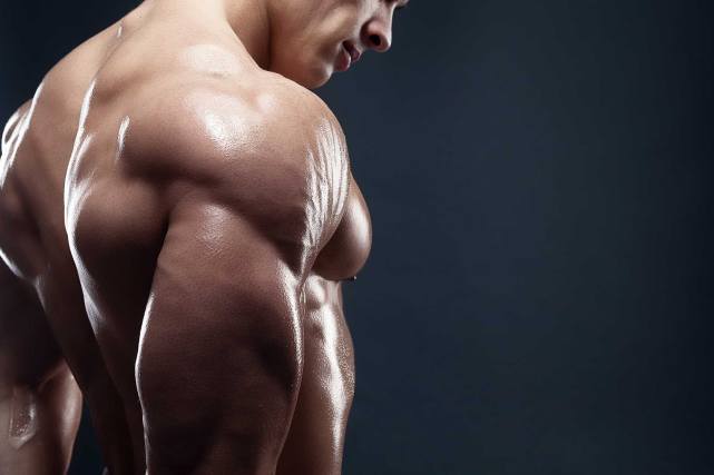 Muscle building Steroids