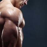 Muscle building Steroids