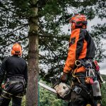 Tree Care Solutions