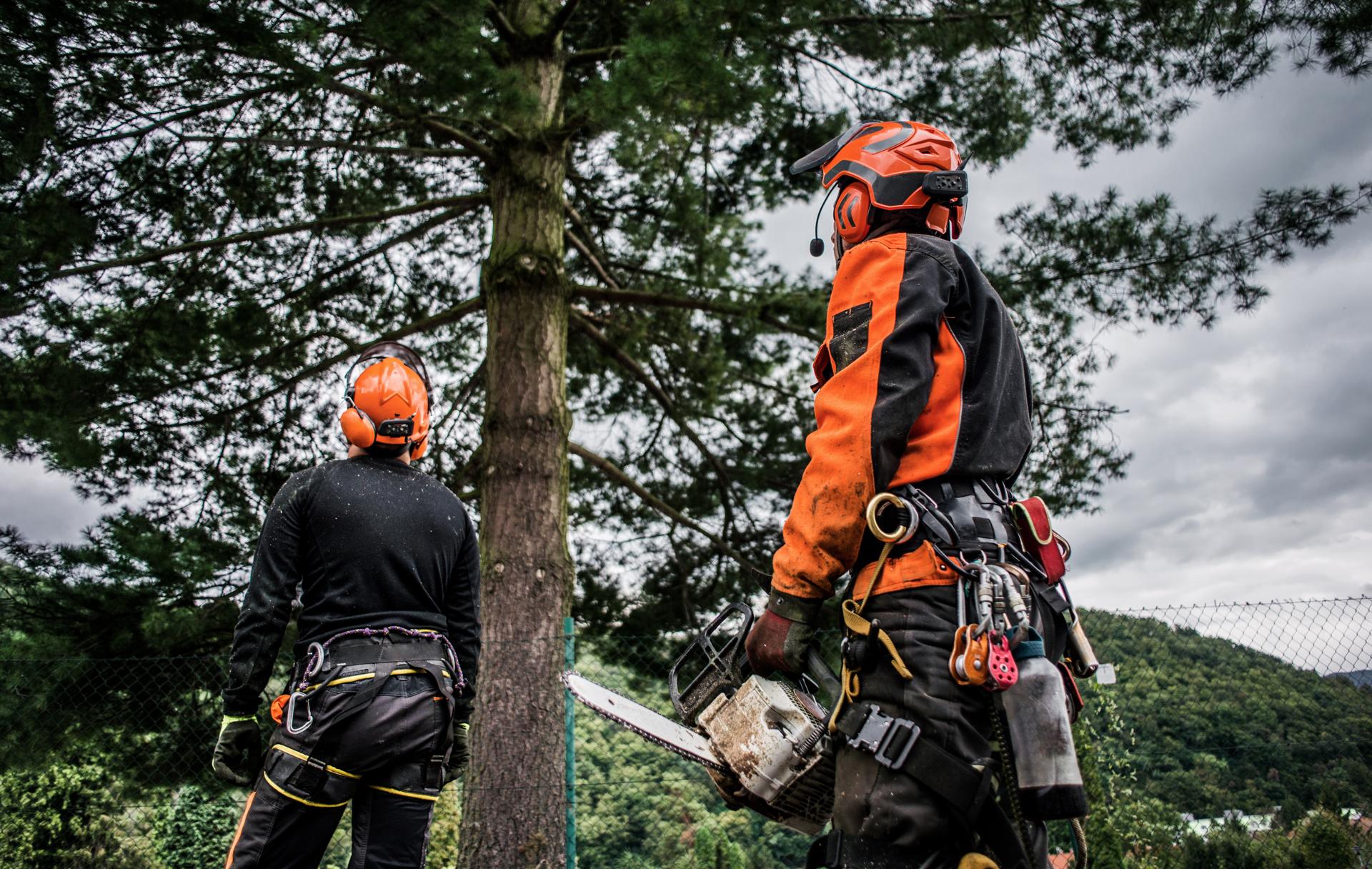 Tree Care Solutions